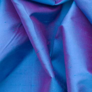 INDIAN DOUPPION ASTER